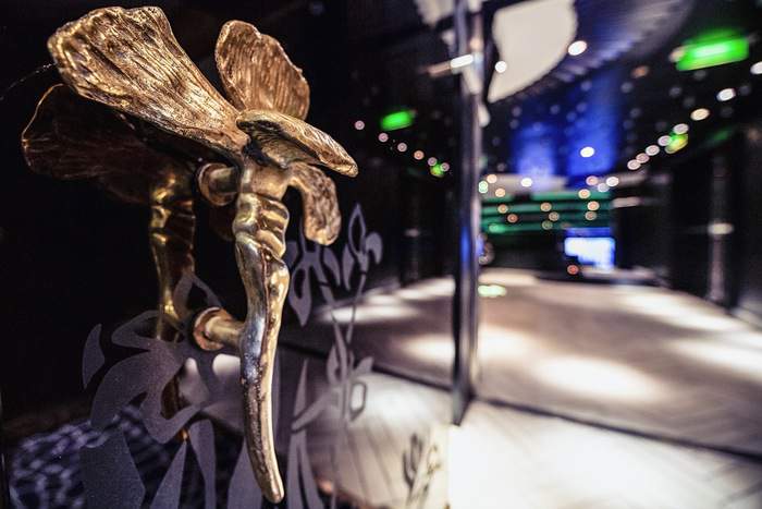 Nicko Cruises Vasco Da Gama Hollywood Theatre 3.jpg